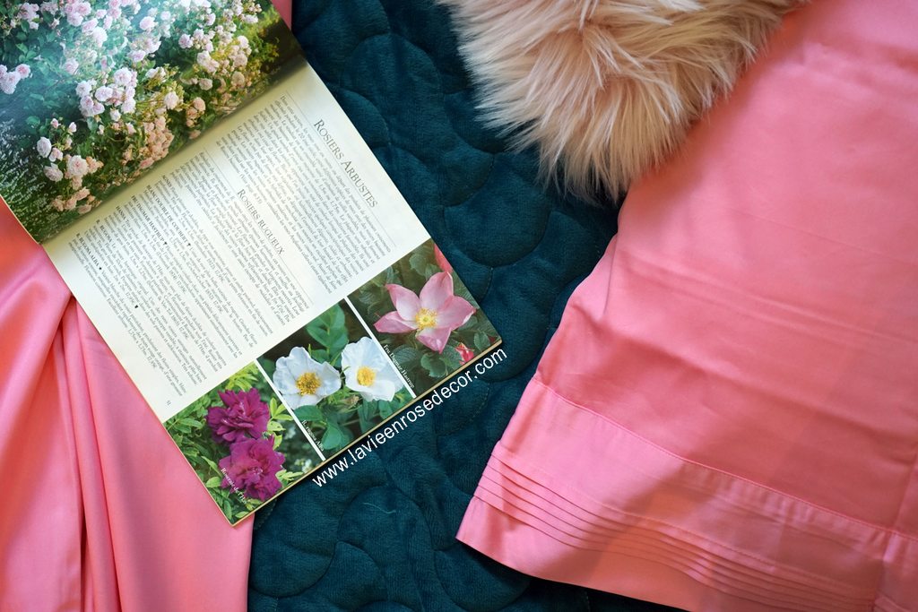 Combo 7 Món - Chăn Hè Thu Nhung Xanh Lá & Ga Giường Hồng