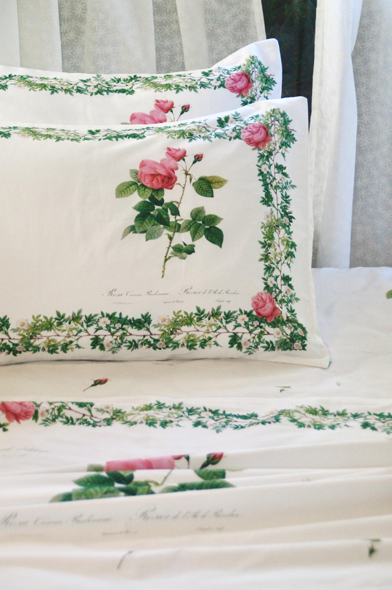 Vỏ Gối Nằm - Hoa Hồng Botanical Rose - Cotton Sateen
